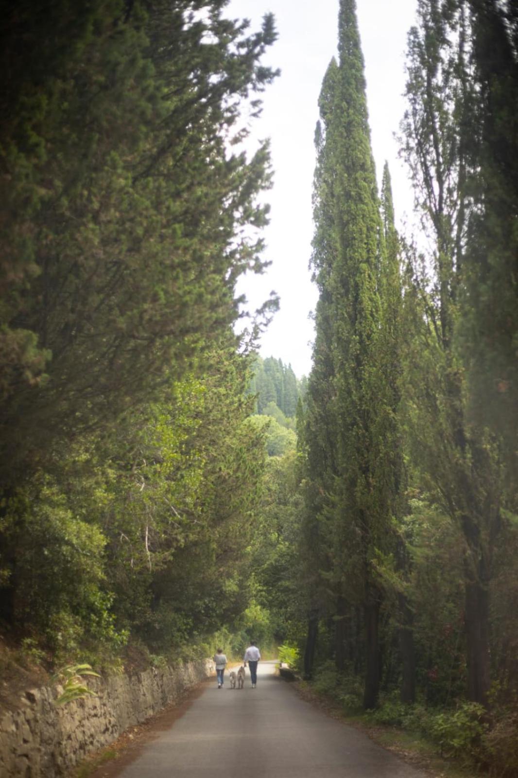 Agriturismo Tassinaia Pontassieve Ngoại thất bức ảnh