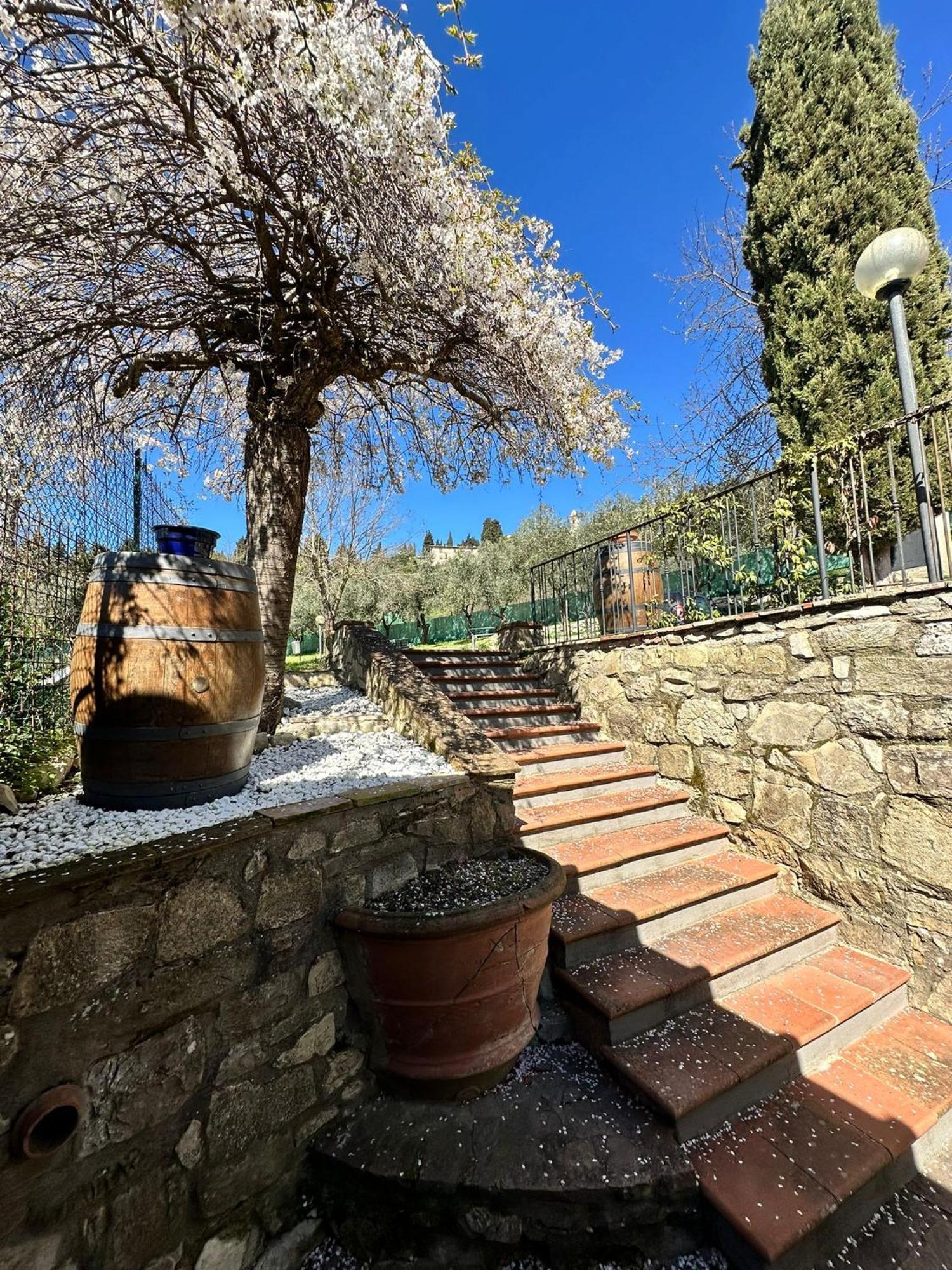 Agriturismo Tassinaia Pontassieve Ngoại thất bức ảnh