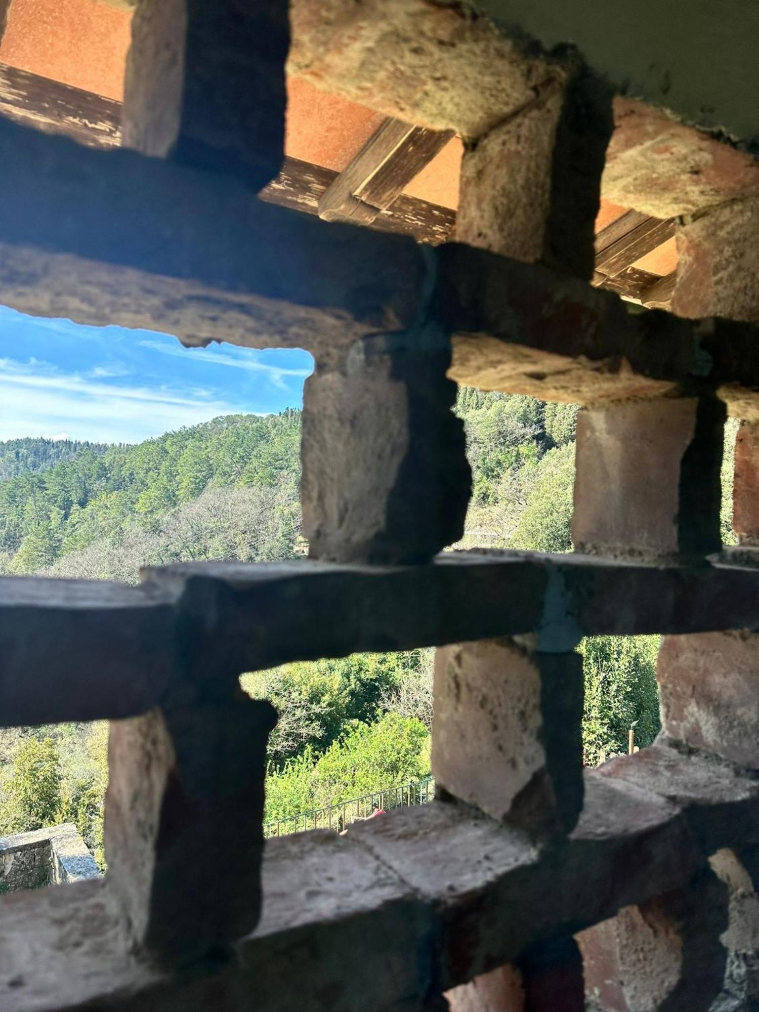 Agriturismo Tassinaia Pontassieve Ngoại thất bức ảnh