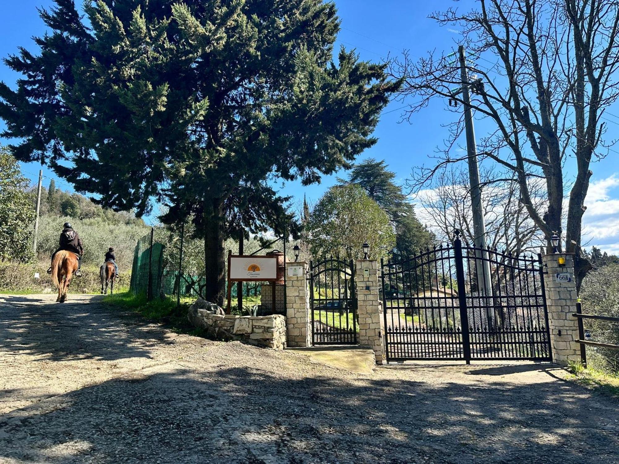 Agriturismo Tassinaia Pontassieve Ngoại thất bức ảnh