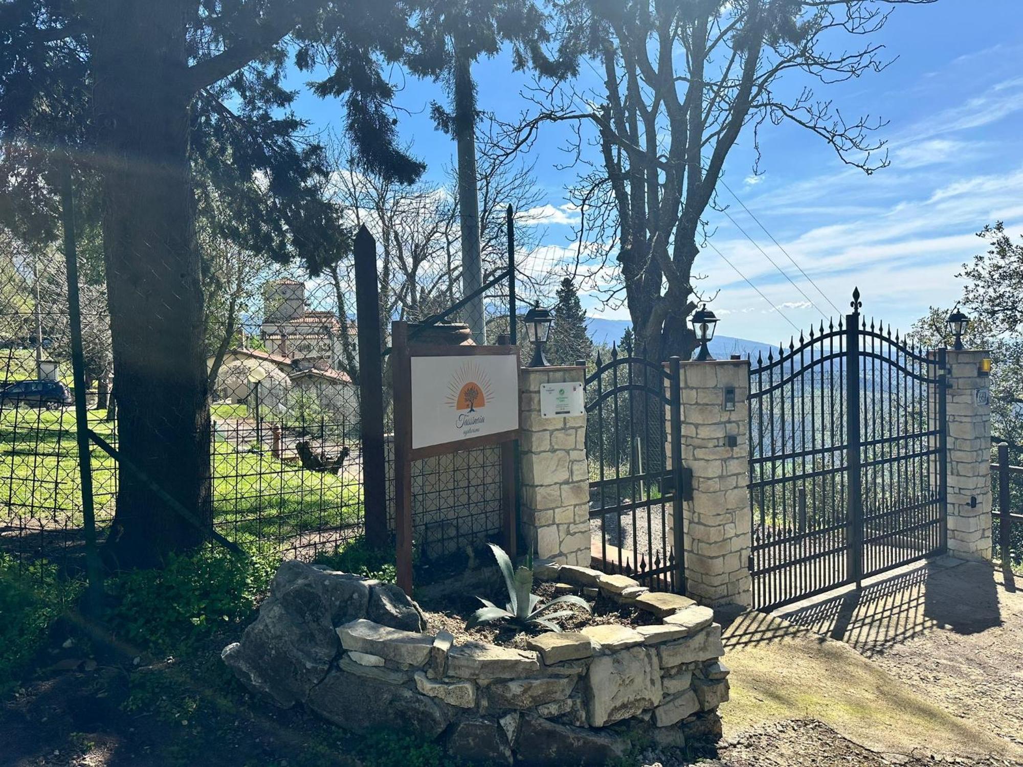 Agriturismo Tassinaia Pontassieve Ngoại thất bức ảnh