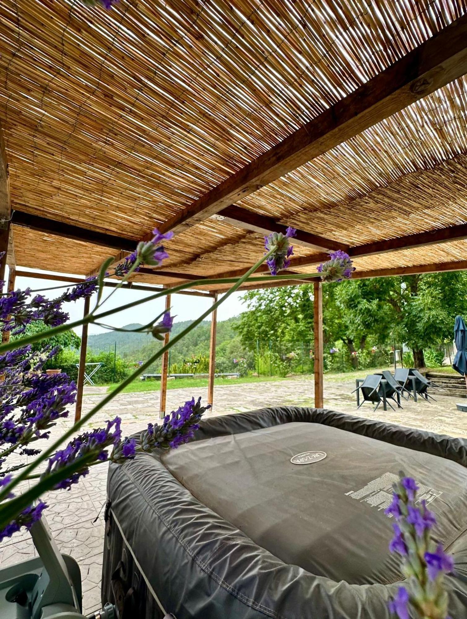Agriturismo Tassinaia Pontassieve Ngoại thất bức ảnh